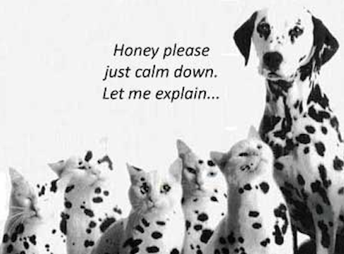 Pleeze Splanin